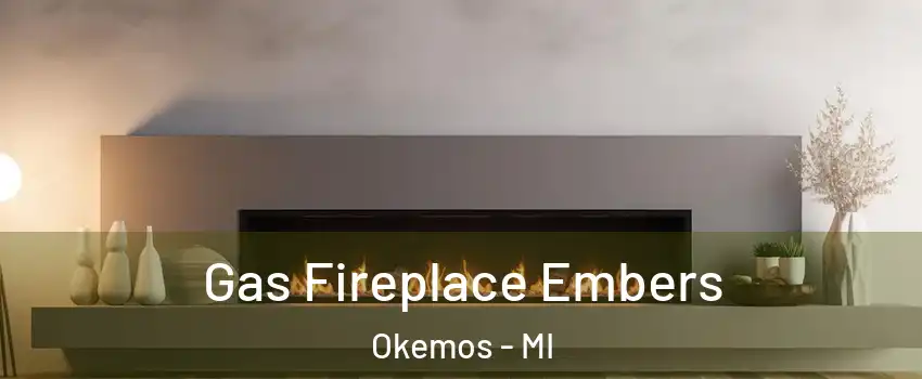  Gas Fireplace Embers Okemos - MI