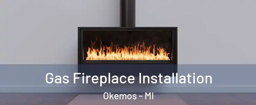  Gas Fireplace Installation Okemos - MI