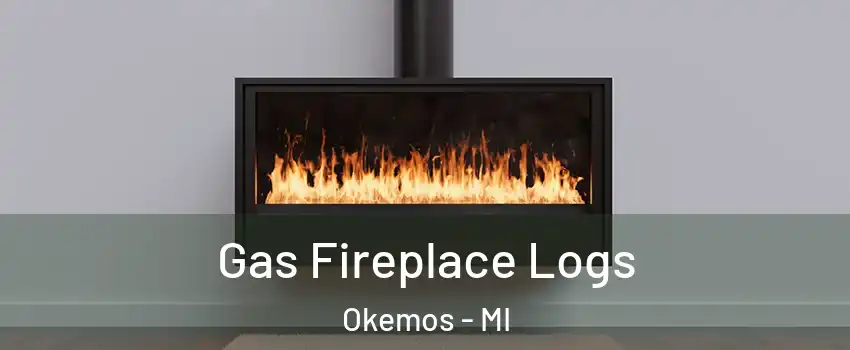  Gas Fireplace Logs Okemos - MI