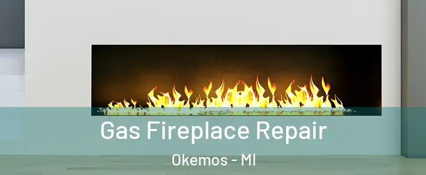  Gas Fireplace Repair Okemos - MI