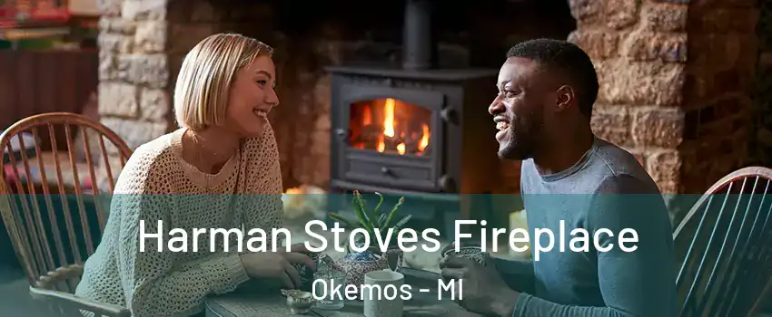  Harman Stoves Fireplace Okemos - MI