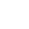 Professional Chimney Flue Installation in Okemos, Michigan