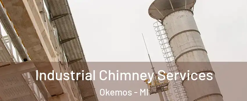  Industrial Chimney Services Okemos - MI