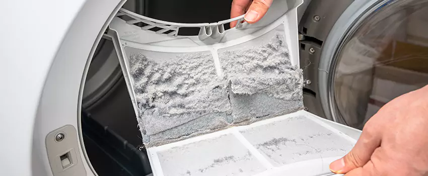 Best Dryer Lint Removal Company in Okemos, Michigan