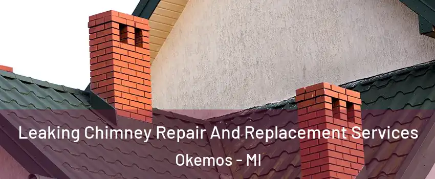  Leaking Chimney Repair And Replacement Services Okemos - MI