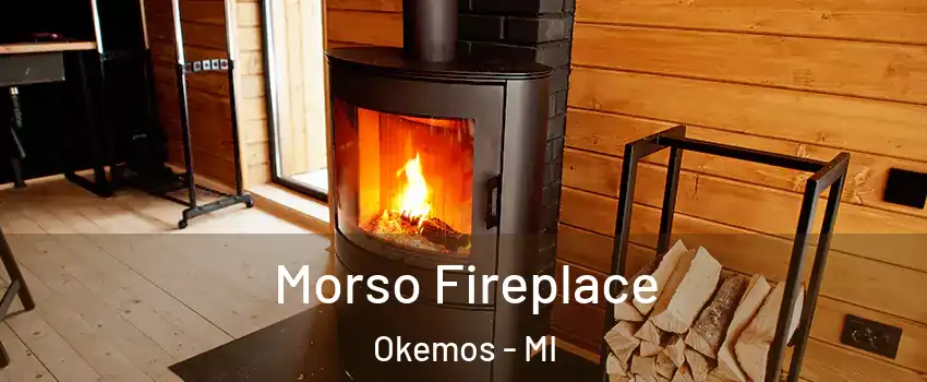  Morso Fireplace Okemos - MI