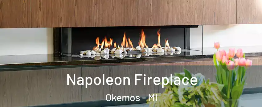  Napoleon Fireplace Okemos - MI