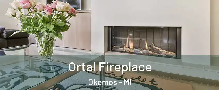 Ortal Fireplace Okemos - MI