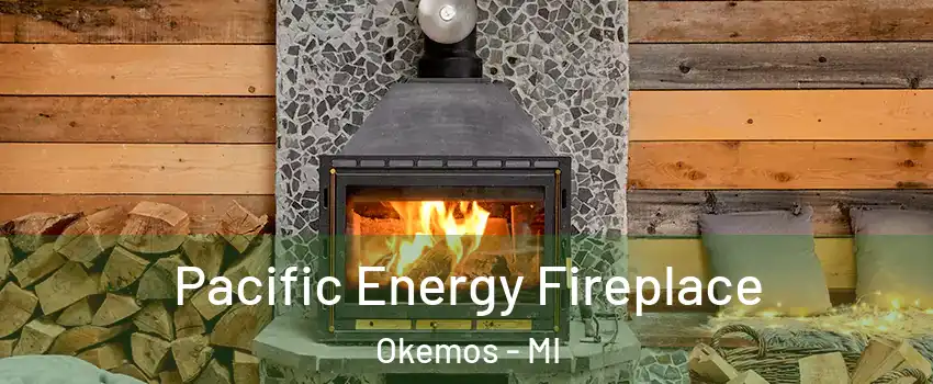  Pacific Energy Fireplace Okemos - MI