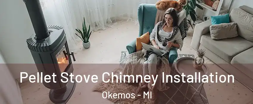  Pellet Stove Chimney Installation Okemos - MI