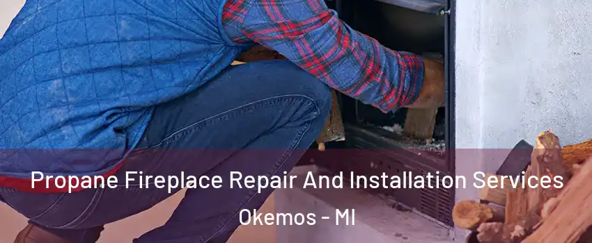  Propane Fireplace Repair And Installation Services Okemos - MI