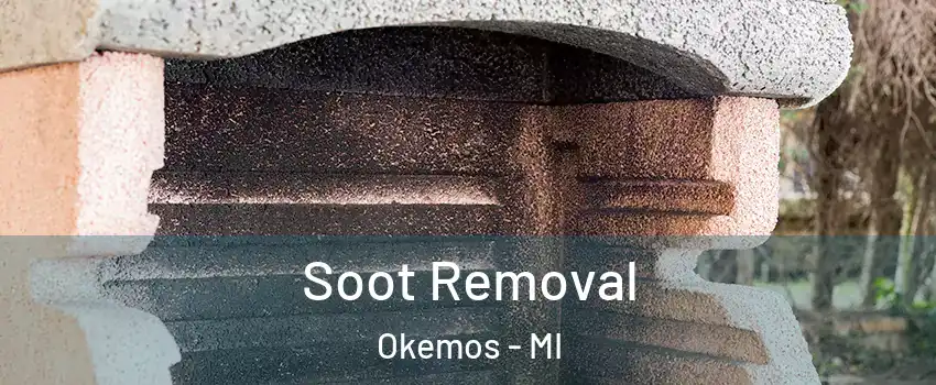  Soot Removal Okemos - MI