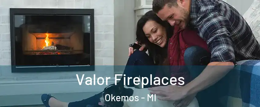  Valor Fireplaces Okemos - MI