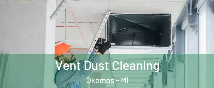  Vent Dust Cleaning Okemos - MI