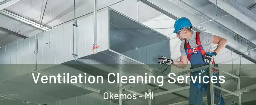  Ventilation Cleaning Services Okemos - MI