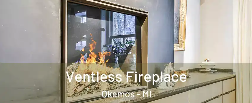  Ventless Fireplace Okemos - MI